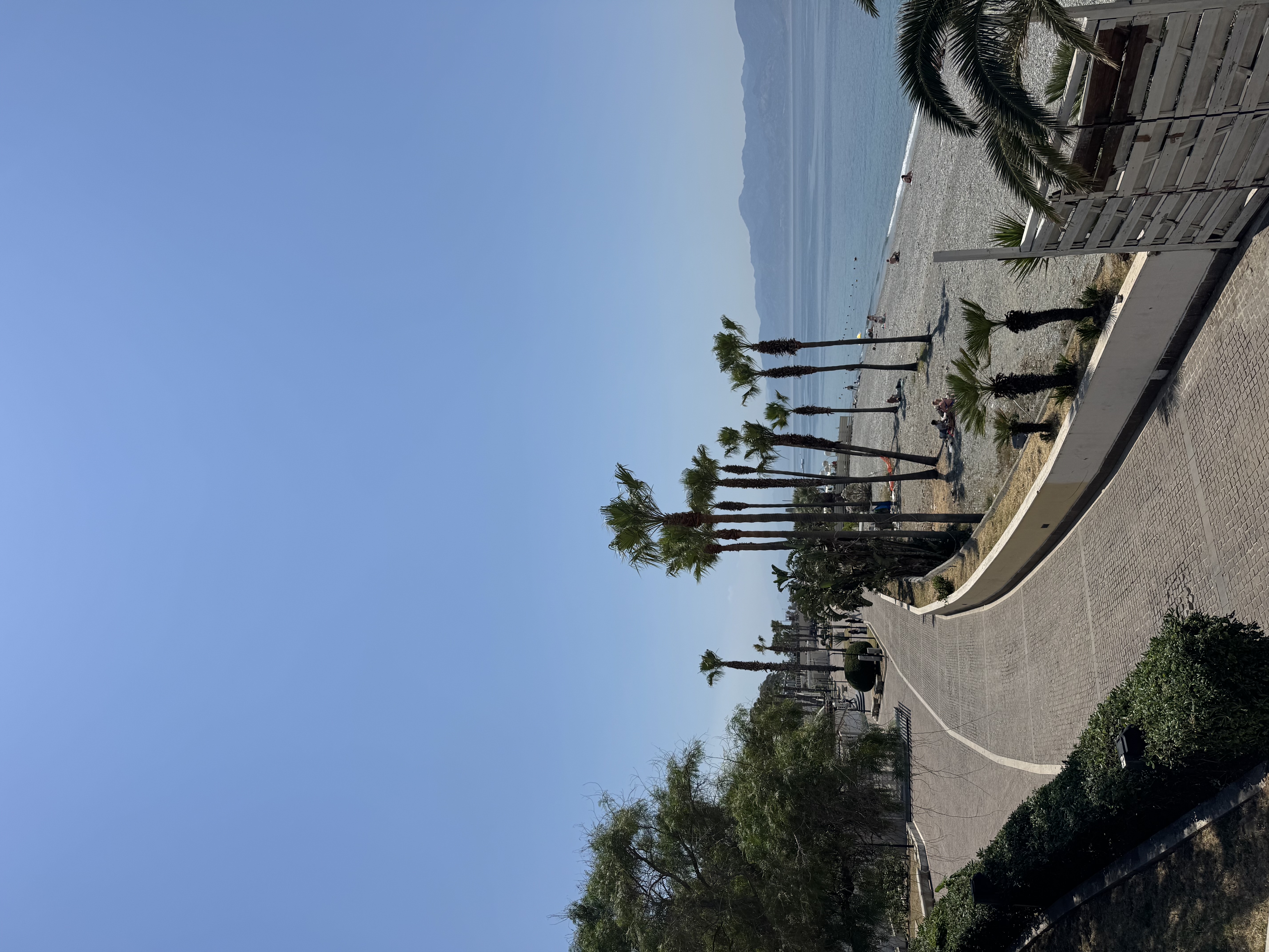 Buongiorno Reggio — a moment from the journey